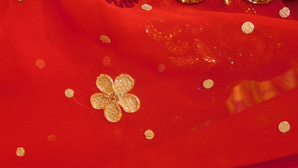 Red Designer Border Saree